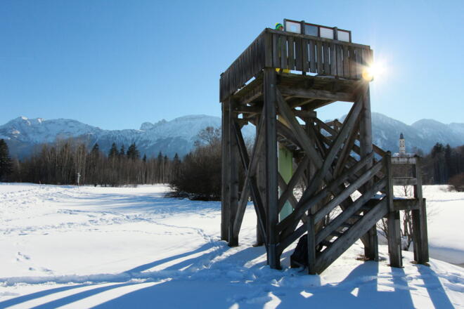 Aussichtsturm im Berger Moos