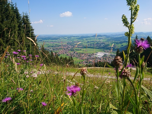 Blick vom Tiroler Stadl auf Pfronten im Allgäu