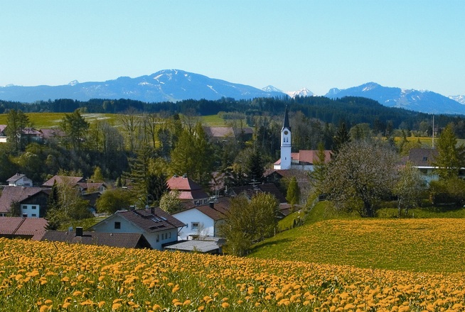 Dorf Löwenzahn