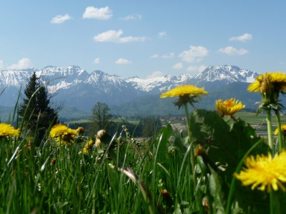 Frühjahr auf dem Ferienhof Kuhn