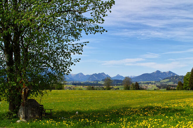 Urlaub im Allgäu