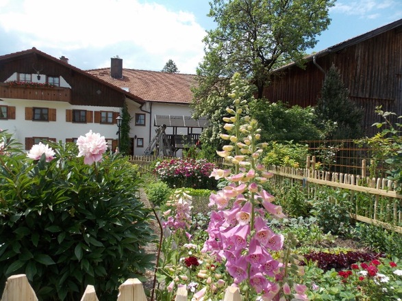 Im Garten blüht es!