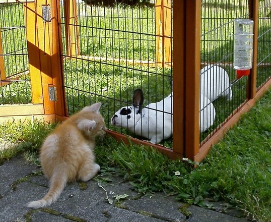 Lilli und Sissy
