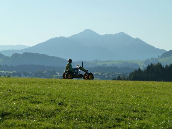 Ausblick