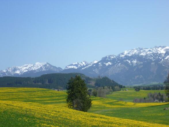 Panoramablick vor dem Haus