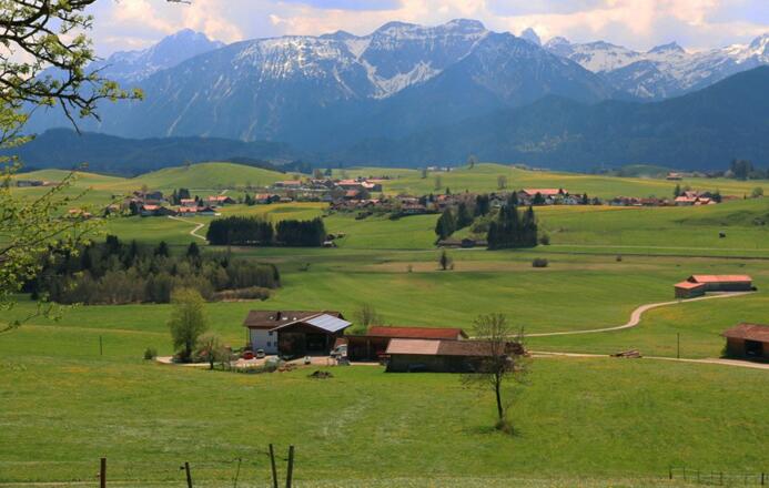 Panoramabild