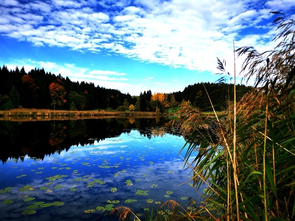 Faulensee, Rieden am Forggensee