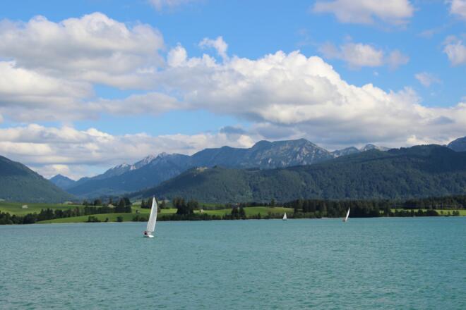 Der Forggensee