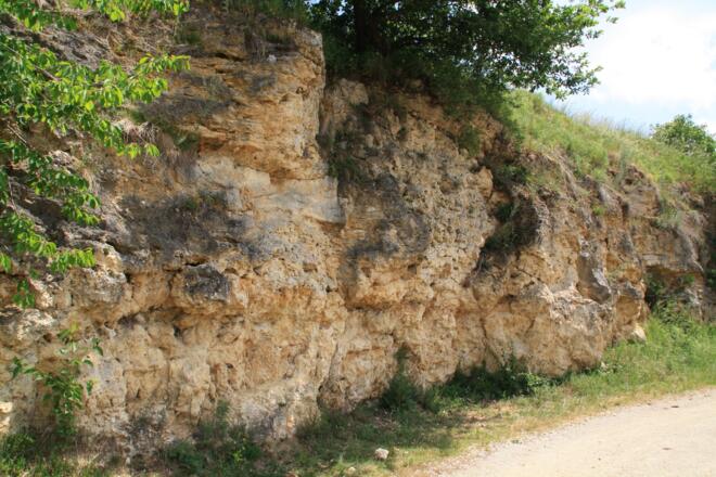 Riesseekalke Hainsfarth