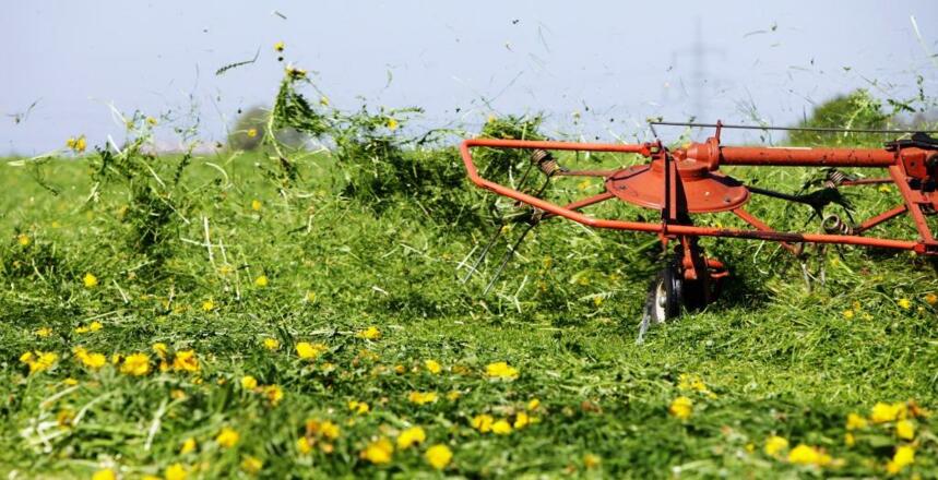 Landwirtschaft im Unterallgäu
