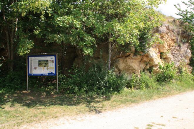 Infotafel Riesseekalke Hainsfarth