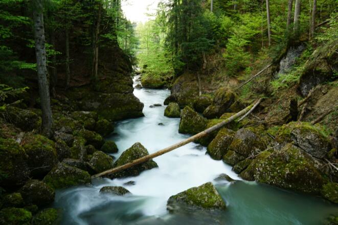 Im Haldertobel zwischen Blaichach und Gunzesried
