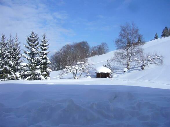 Winterausblick zum Grünten