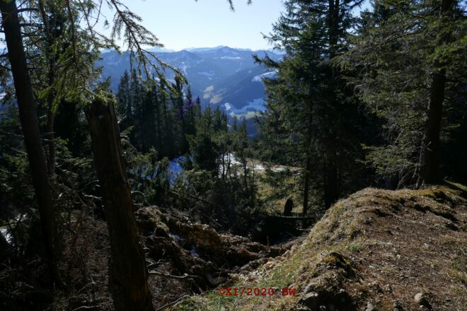 Bärenkopf durch Windbruch mit Aussicht