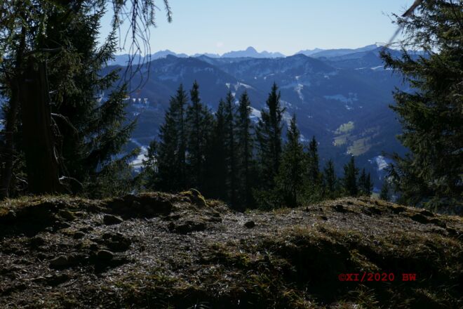 Aussicht Bärenkopf zu den Hörnern und ins Allgäuer Hochgebirge