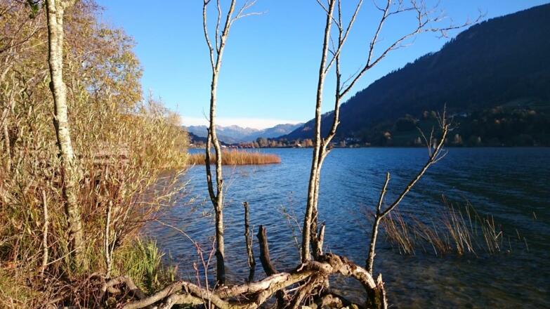 Herbst am Großen Alpsee bei Immenstadt