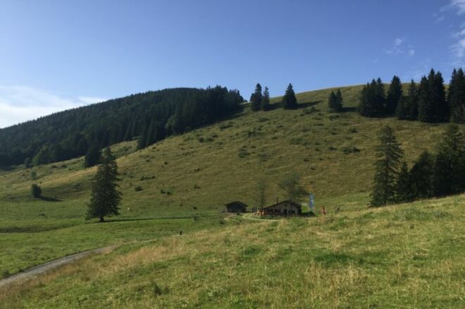 Maisalm - © Chiemsee-Alpenland Tourismus