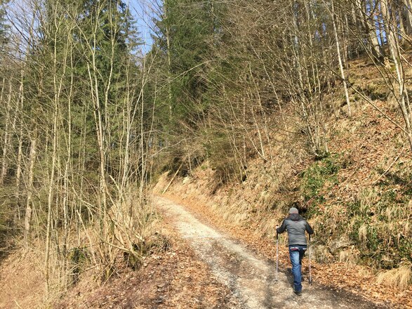 Weg um den Haindorfer Berg