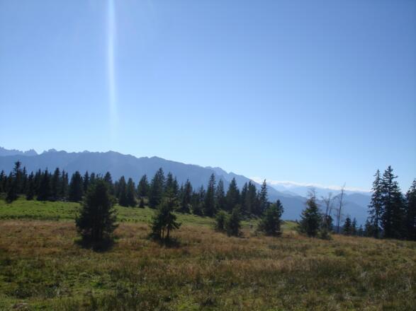 Blick auf das Kaisergebirge