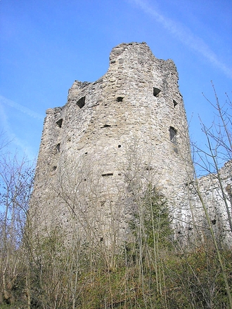Die Burgruine Laubenberg
