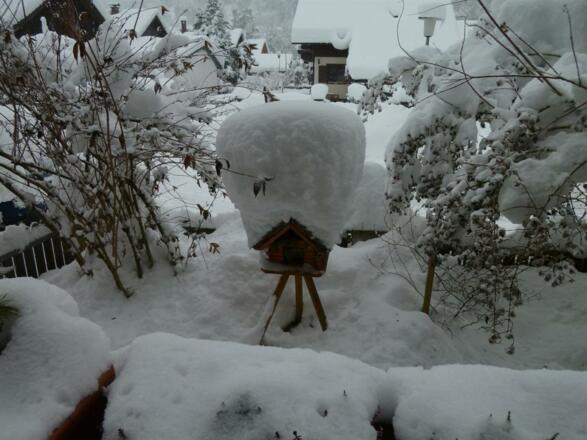 Vogelhaus i. Winter vor dem Balkon