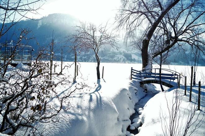 Winterparadies Alpsee