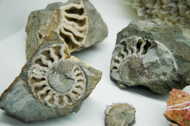 Allgäuer Steinerlebniswelt