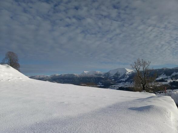 Traumhafte Aussicht auf die Nagelfluhkette