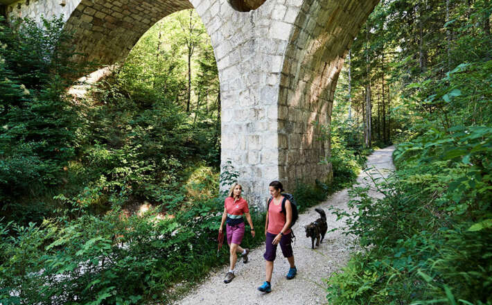 Das Eisenbahn Viadukt am Wald-Idyll-Pfad