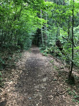 Wanderweg