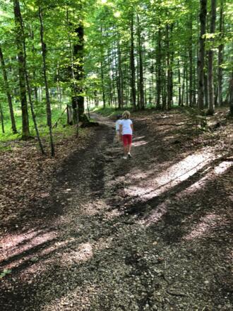 Wanderweg Richtung Hinterreit