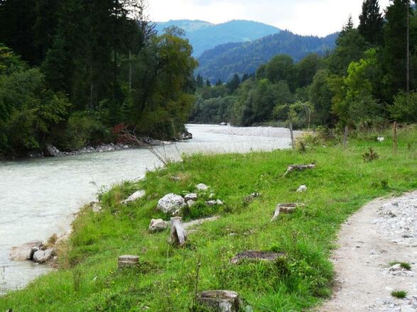 dem Fluss folgen