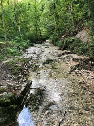 Köhlerbach