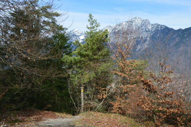 Aussicht vom Wappachkopf