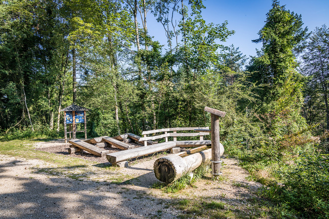 ZUrück am Wald Idyll Pfad