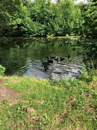 Fischteich Marzoll
