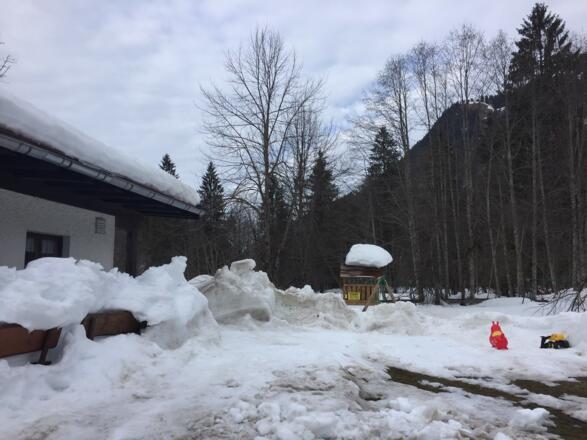 הבקתת מסעדה סמוך לאגם