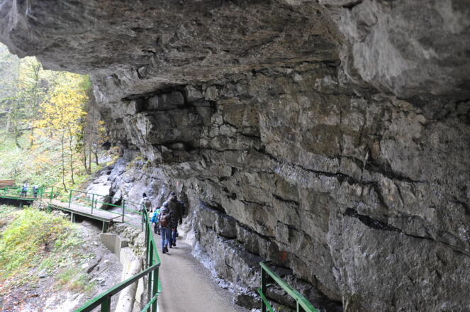 Geotop "Breitachklamm"