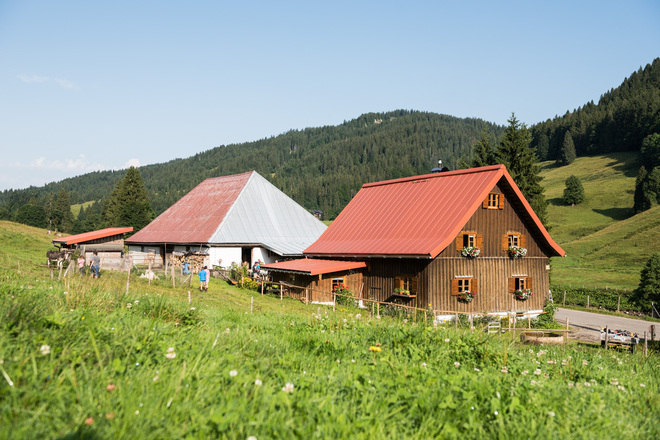 Alpe Schwattwald im Rohrmoostal