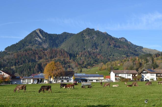 Balkonblick. (2018)