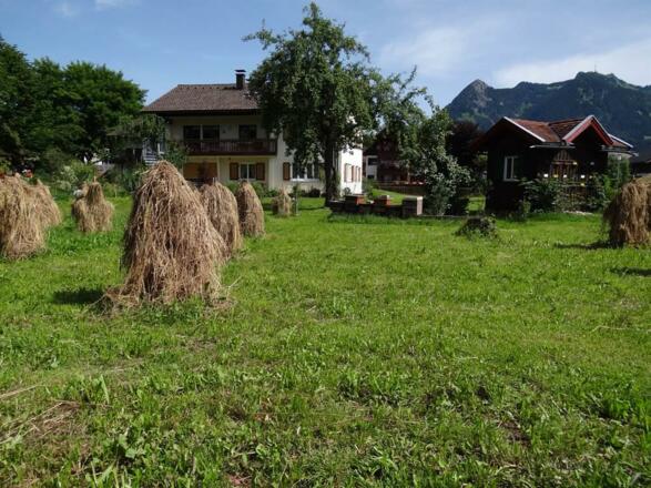 Unser Haus mit Garten