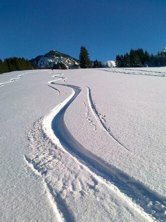 Winter am Straußberg