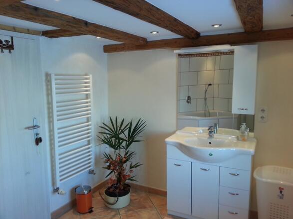 Bad2 Eulenhof Spiegel