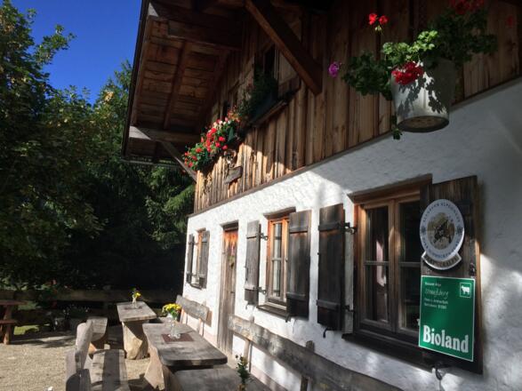 Straussbergalpe - Allgäuer Alpgenuss
