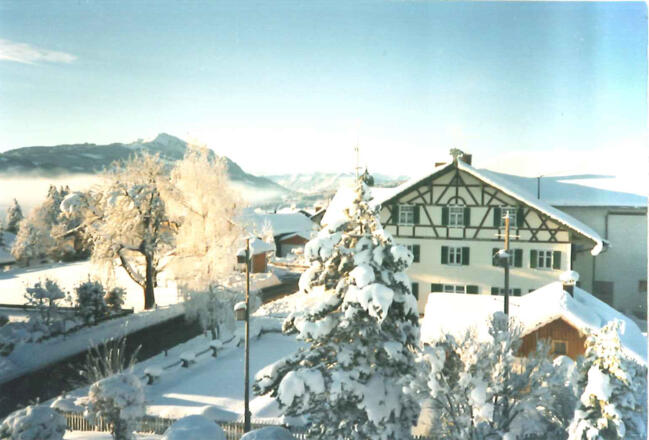 winterbild_herz