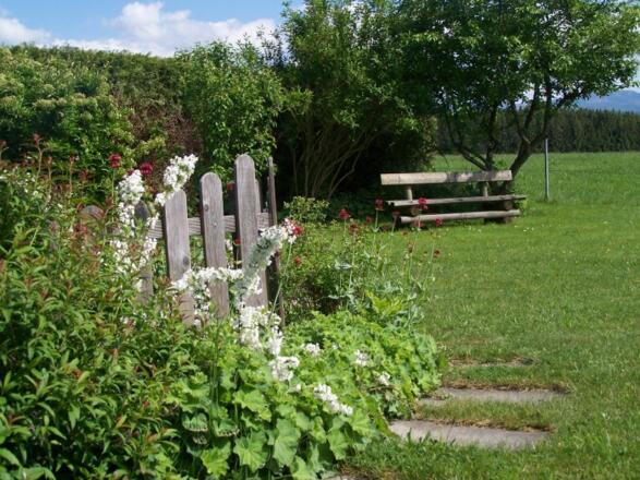 Liegewiese mit Gartenbank