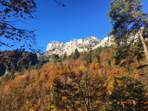 Wanderweg zur Toni Lenz Hütte