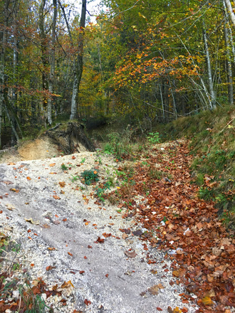 Wanderweg zur Toni Lenz Hütte