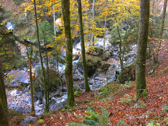 Wanderweg zur Toni Lenz Hütte