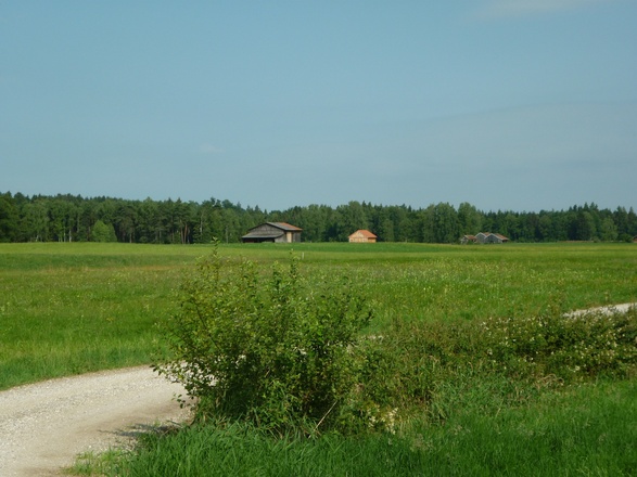 Feldweg durchs "Saaldorfer Moos"
